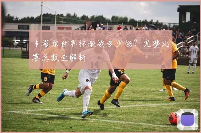 卡塔尔世界杯激战多少场？完整比赛总数全解析