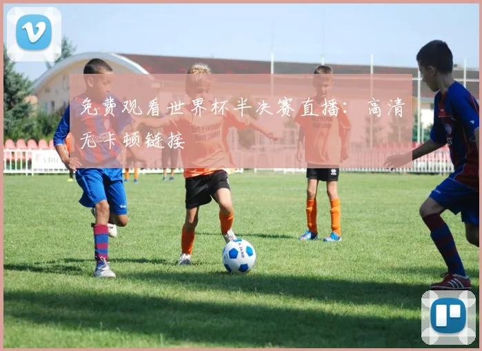 免费观看世界杯半决赛直播：高清无卡顿链接