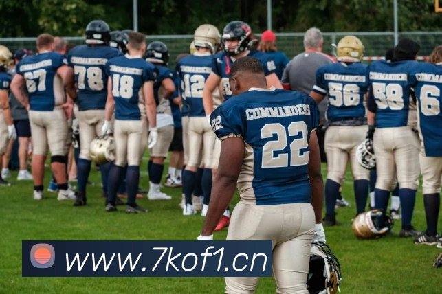 乐鱼app登录入口官网平台生态图