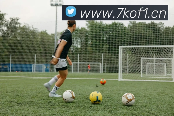 乐鱼app登录入口官网全站App